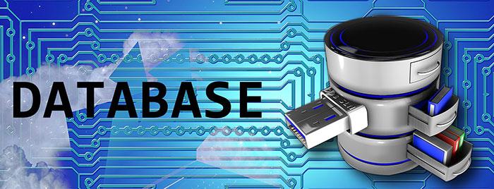 should i use a database